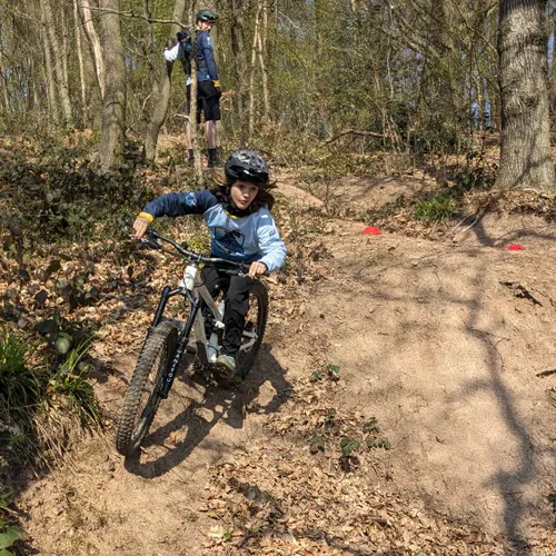 En foret3